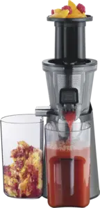 ES 3571 Slow Juicer
