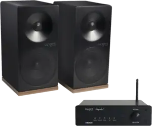 AMPSTER-X4