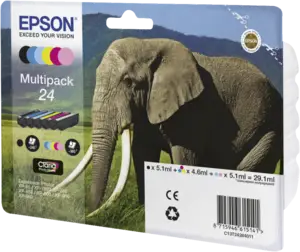 Epson C13T24284021 inkt multipack 24
