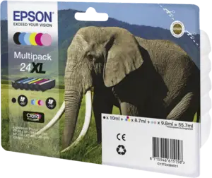 Epson C13T24384021  inkt multipack 24XL