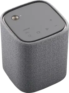 TRUE X SPEAKER 1A