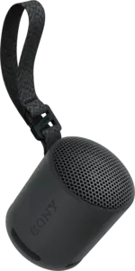 SRS-XB 100