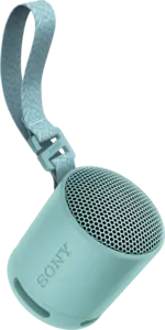 SRS-XB 100