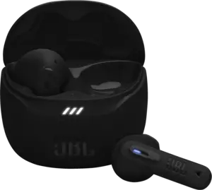 JBL Tune Flex 2.0 