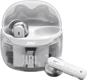 JBL Tune Flex 2.0 