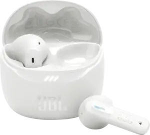 JBL Tune Flex 2.0 