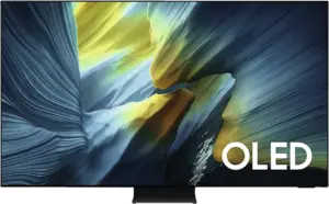 Samsung OLED 4K QE65S95F TV (2025) 
