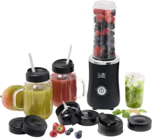 FRITEL BG 2310 Blend & Go Blender