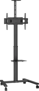T1031