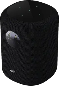WiiM Sound Zwart