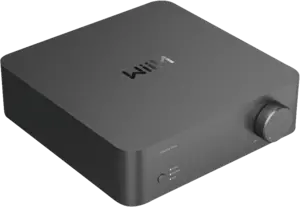 WiiM Vibelink Amp