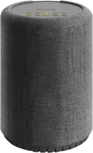 Audio Pro A10 MkII W Multiroom Speaker
