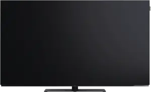 Loewe We. SEE 55 oled dc 