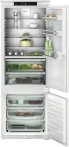 ICBNSd 7623-20