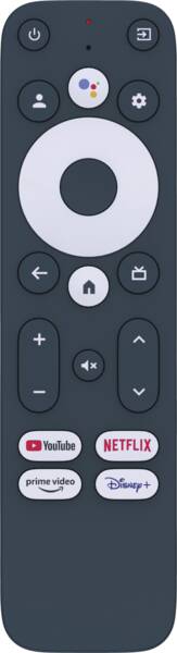 Zoom-Darstellung 3: LEAP-S3 Google TV