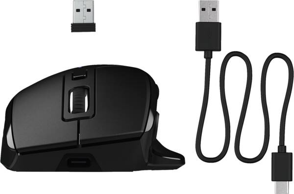 Zoom-Darstellung 5: Work Bundle DE JBuds Mouse & Epic Keyboard