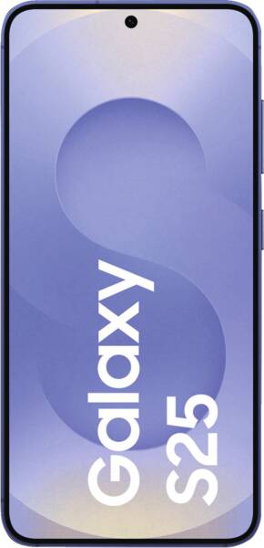 Vue zoomée 1: Galaxy S25 S931B 128GB