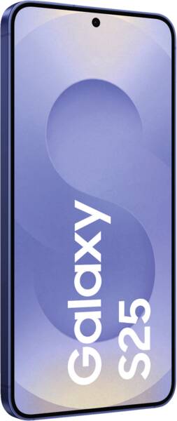 Vue zoomée 2: Galaxy S25 S931B 128GB