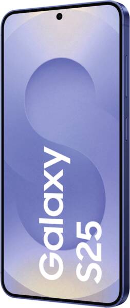 Vue zoomée 3: Galaxy S25 S931B 128GB