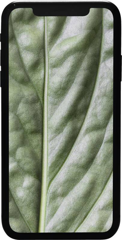 #GOECO iPhone 11 64GB Premium Refurbished Smartphone, Quadband, LTE