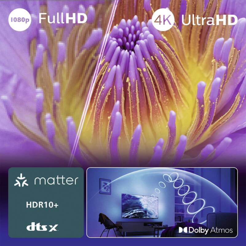 1479462_bild4_20250516_11316.tif